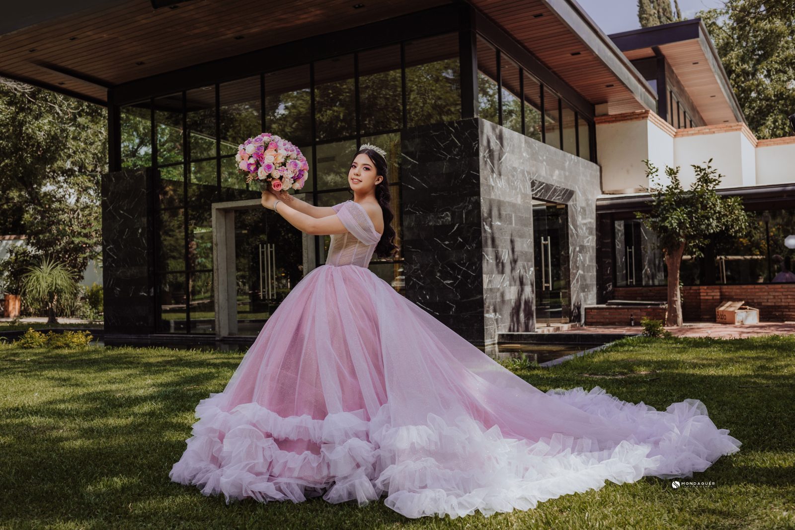 Quinceañera Platinum